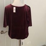 Loft Cutest Maroon Velvet Short Sleeve Top Photo 4
