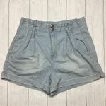 American Eagle  Blue & White Pinstripe Short With Belt Size 4 Photo 5