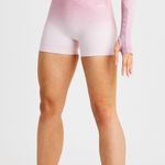 AYBL  Pulse ombré shorts size small Photo 0