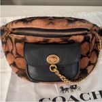 Coach X Jennifer Lopez Chain Belt Bag In Signature Shearling Photo 4