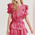 Love Shack Fancy Natasha Dress XL Photo 0