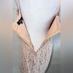 Lulus Sweet Blossom Blush Pink Lace Floral Dress Size 10 Photo 6