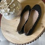 Chloé Chloe Lauren Scalloped Ballet Flats in Black Size 37.5 Photo 6