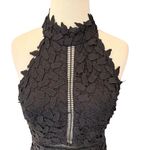 Bardot  Kara Lace Halter Midi Dress Backless Party Sheath Sheer Gemma LBD Size 6 Photo 5