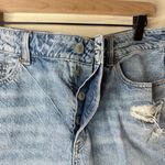 American Eagle  Tomgirl Distressed Shorts Button Fly Size 14 Short Photo 4