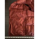 Uniqlo Ultra Light Down Vest Medium Orange Puffer Full Zip Quilted Packable Hike Photo 5