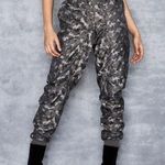 Mistress Rocks Lingua Gray Camo Jogger Parachute Pants Medium NWT Photo 0