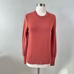 Everlane The Soft Cotton Crew Sweater in Spanish Clay Photo 1