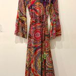 Alexis  Charisma Paisley Print Belted Flounce Maxi Dress Mystic Womens Size Small Photo 1