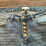 Abela Story & Co. 5 Light Photo 2