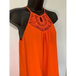 Naked Zebra Halter Top Photo 9