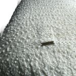 Billabong Sweater Photo 3