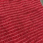 Brandy Melville  red stretchy tube top Photo 2