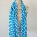Accessory Street Blue Polka Dot Striped Sheer Long Neck Scarf Photo 0
