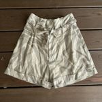 ANINE BING Beige Tan Zebra Print High Waist Belted Shorts Size 36 / US 6 Photo 0