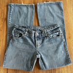 American Eagle Vtg  Low Rise Favorite Boyfriend Jeans Size 6 Short Photo 0