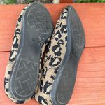 Cushionare Cushionaire Leopard Pointed Toe Flats 7 Photo 3
