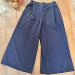 The North Face  Pleated Navy Blue Cargo Pants Womens Size 4 Photo 0