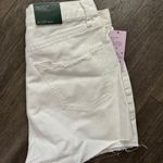 Wild Fable Jean Shorts Photo 2