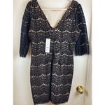 Darling London New Black Floral Lace Over Nude Lining Midi Dress A178 Size 14 Photo 8