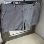 New York & Company Gray metallic Flat Front Shorts Size 16 Photo 2