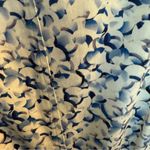 St. John Collection  Printed Midi Dress NWOT Size 10 Photo 3