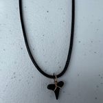 Shark Tooth Necklace Photo 1