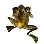 LC Lauren Conrad Vtg Lauren Conrad Enamel Leaping Frog Brooch Gold Tone Rhinestone Pin Signed LC Photo 0