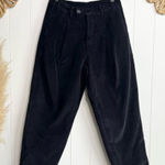 Free People  pants velvet baggy trousers pleated Photo 0