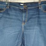 Lane Bryant  Dark Blue Denim Shorts Photo 5