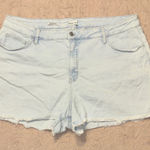 Ava & Viv  High Rise Midi Shorts in size 24 Photo 0