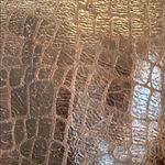 Brown Crocodile Photo 10