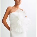 Meshki Strapless Mini Dress Photo 1