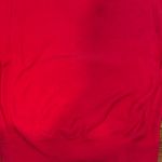 Champion Reverse Weave Hoodie Photo 4