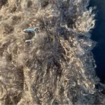 Honeybum  SHEARLING JACKET Sz:M Photo 5