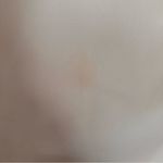 Jealous Tomato Women’s Sz S Beige Career Top Lace Sleeve Semi Sheer Blouse Photo 7