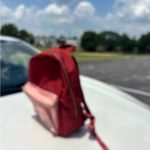 Herschel Supply Company Herschel Red and Pink Backpack mini Photo 10