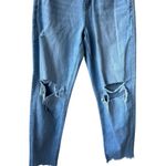 American Eagle Women’s Distressed Curvy Mom Jeans (8) Photo 2