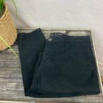 Juicy Couture Black Velvet Velour High Rise Waist Skinny Trouser Pants 10 Photo 2