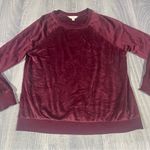 secret treasures Burgundy Velvet Long Sleeve PJ Top or Sweater; Medium Women’s Photo 0