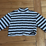 ZARA  Striped Turtleneck Sweater Photo 0
