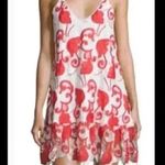 Alexis  Clement lace Dress in red and white Photo 8