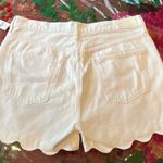 Citizens of Humanity Audrey High Waisted Short 32 Photo 7