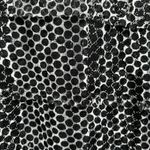 Chico's NEW Chico’s Black Polka Dot Lace Top with Tiered Long Sheer Sleeves Size 4/ XXL Photo 1