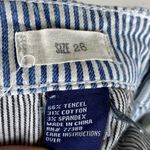 Madewell White & Blue Striped Zip Ankle Skinny Jeans Photo 6