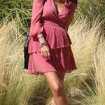 ZARA Ruffled Dotted Mesh Dress Photo 5