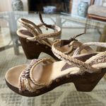 sbicca  Tan and Brown Women's Sandals Photo 2
