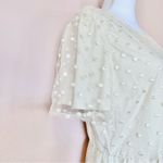 Polagram Cream Yellow Polkadot Embroidered Floral Tulle Short Sleeve Dress. Photo 6