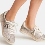 Dolce Vita Snakeskin Espadrille Leather Sneakers Stone Size 8 Photo 0