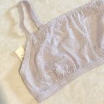 Aerie NWT  Light Purple Coral Lace Bandeau Bralette - Size: Extra Large Photo 1
